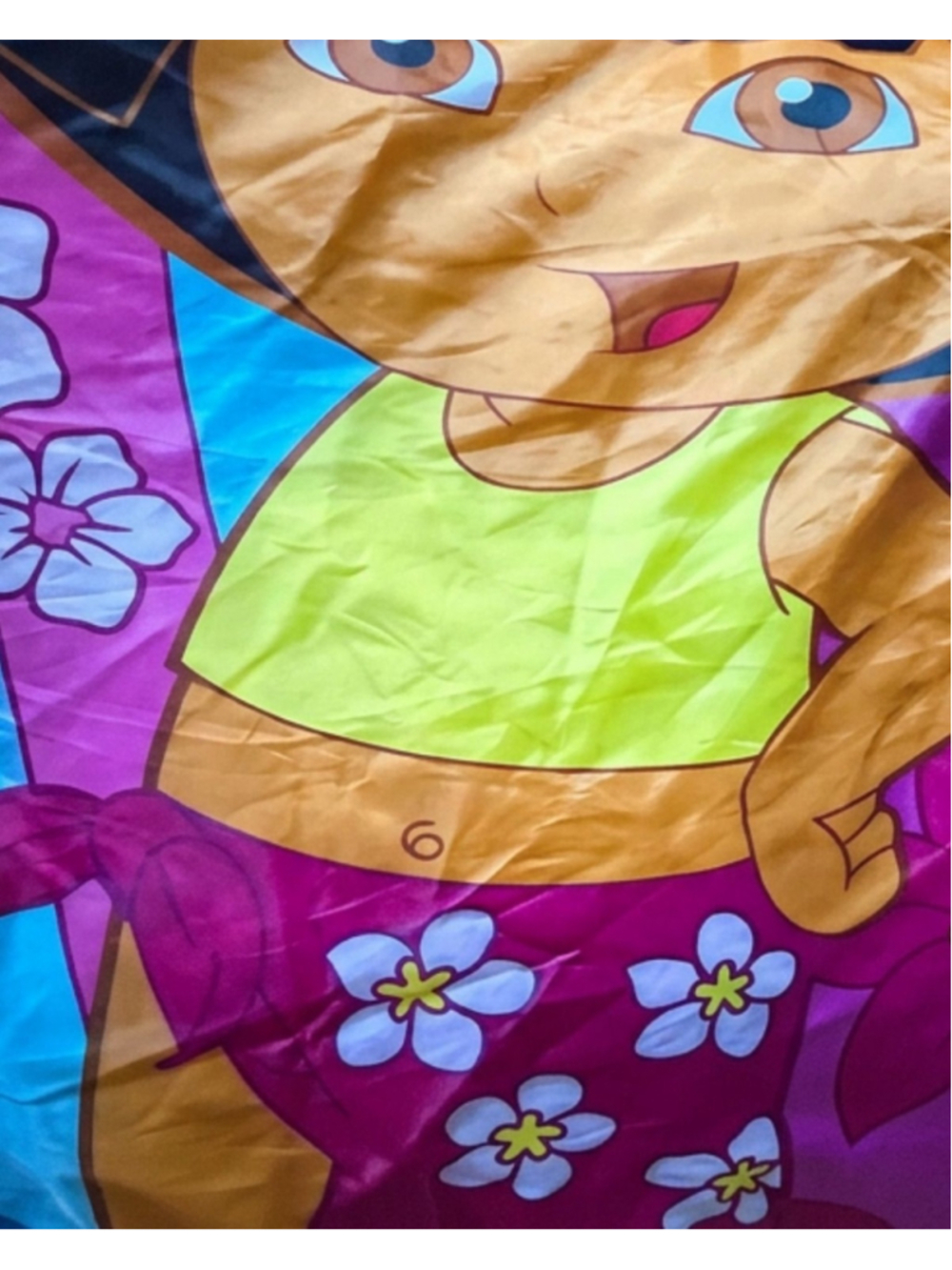 67. Dora the Explorer Sleeping Bag